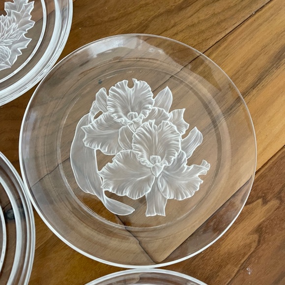 Hoya  Flower Of The Month November-Orchids-Elegance T. Yamamoto - Picture 4 of 4